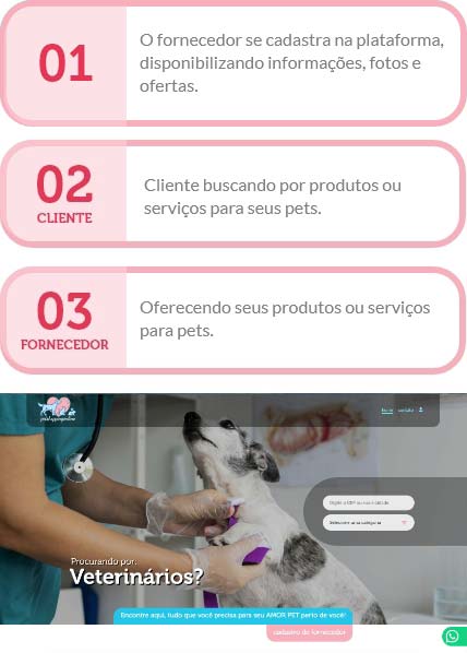 Como funciona o site.